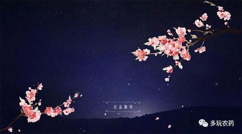 诸葛亮桃花爆料视频,视频爆料背后的历史真相 第1张 诸葛亮桃花爆料视频,视频爆料背后的历史真相 第1张